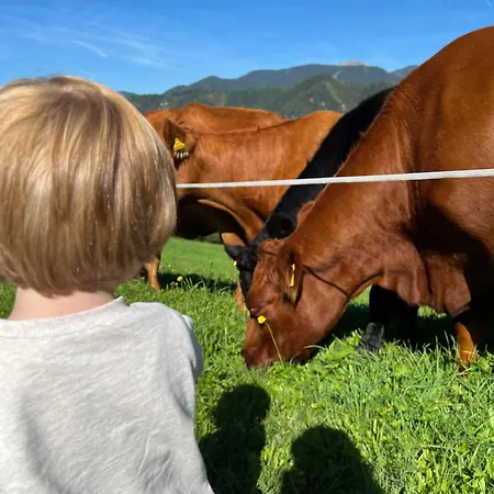 Vom Reiter, Am Bauernhof Mit Bergblick Und Privater Infrarotkabine, Nahe Skipiste * シュラートミンク