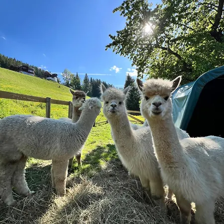Vom Reiter, Am Bauernhof Mit Bergblick Und Privater Infrarotkabine, Nahe Skipiste 아파트