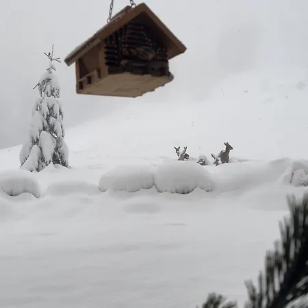 Vom Reiter, Am Bauernhof Mit Bergblick Und Privater Infrarotkabine, Inkl Sommercard Und Spielplatz Schladming