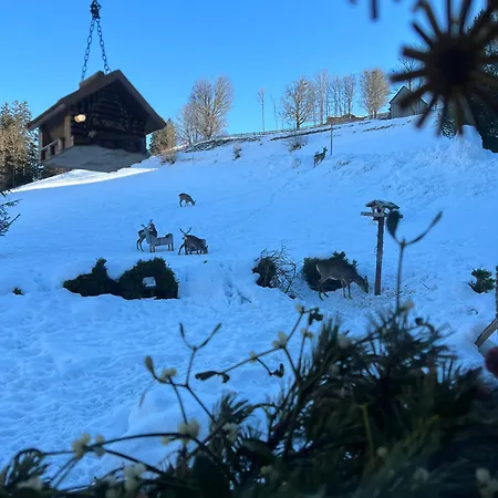 Vom Reiter, Am Bauernhof Mit Bergblick Und Privater Infrarotkabine, Inkl Sommercard Und Spielplatz Appartamento Schladming