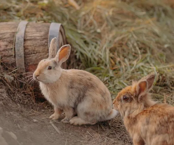 Апартаменты Vom Reiter, Am Bauernhof Mit Bergblick Und Privater Infrarotkabine, Nahe Skipiste Шладминг