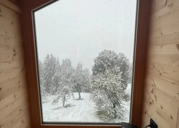 Daire Vom Reiter, Am Bauernhof Mit Bergblick Und Privater Infrarotkabine, Nahe Skipiste *