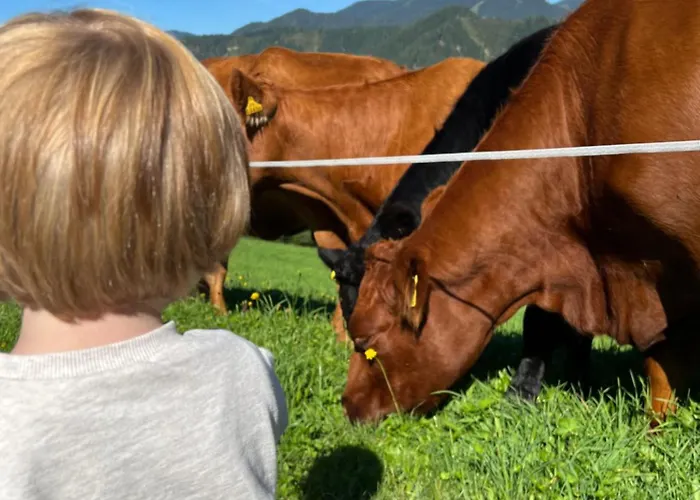 Vom Reiter, Am Bauernhof Mit Bergblick Und Privater Infrarotkabine, Nahe Skipiste * Шладминг