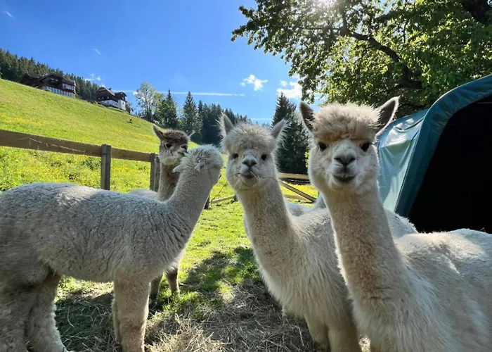 Vom Reiter, Am Bauernhof Mit Bergblick Und Privater Infrarotkabine, Nahe Skipiste Daire