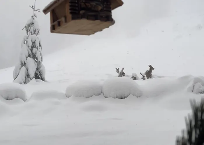 Vom Reiter, Am Bauernhof Mit Bergblick Und Privater Infrarotkabine, Nahe Skipiste Schladming