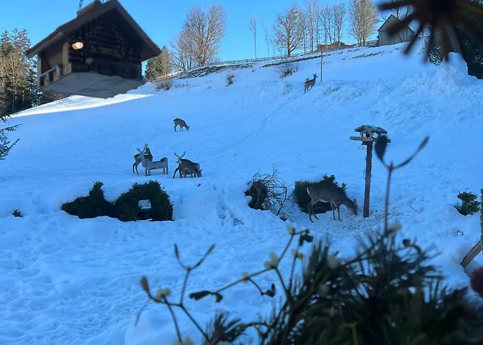 Vom Reiter, Am Bauernhof Mit Bergblick Und Privater Infrarotkabine, Nahe Skipiste Daire Schladming